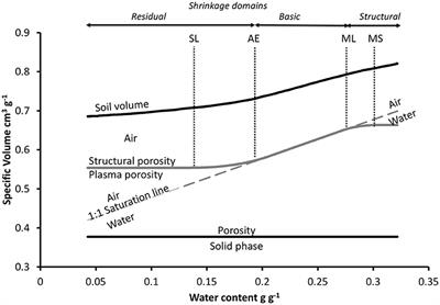 Patterns and Factors of Soil Structure Recovery as Revealed From a Tillage and Cover-Crop Experiment in a Compacted Orchard